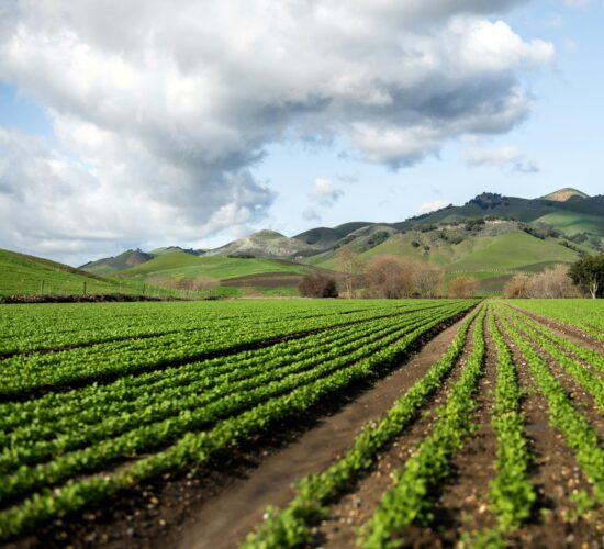Steve Weymer- Agriculture