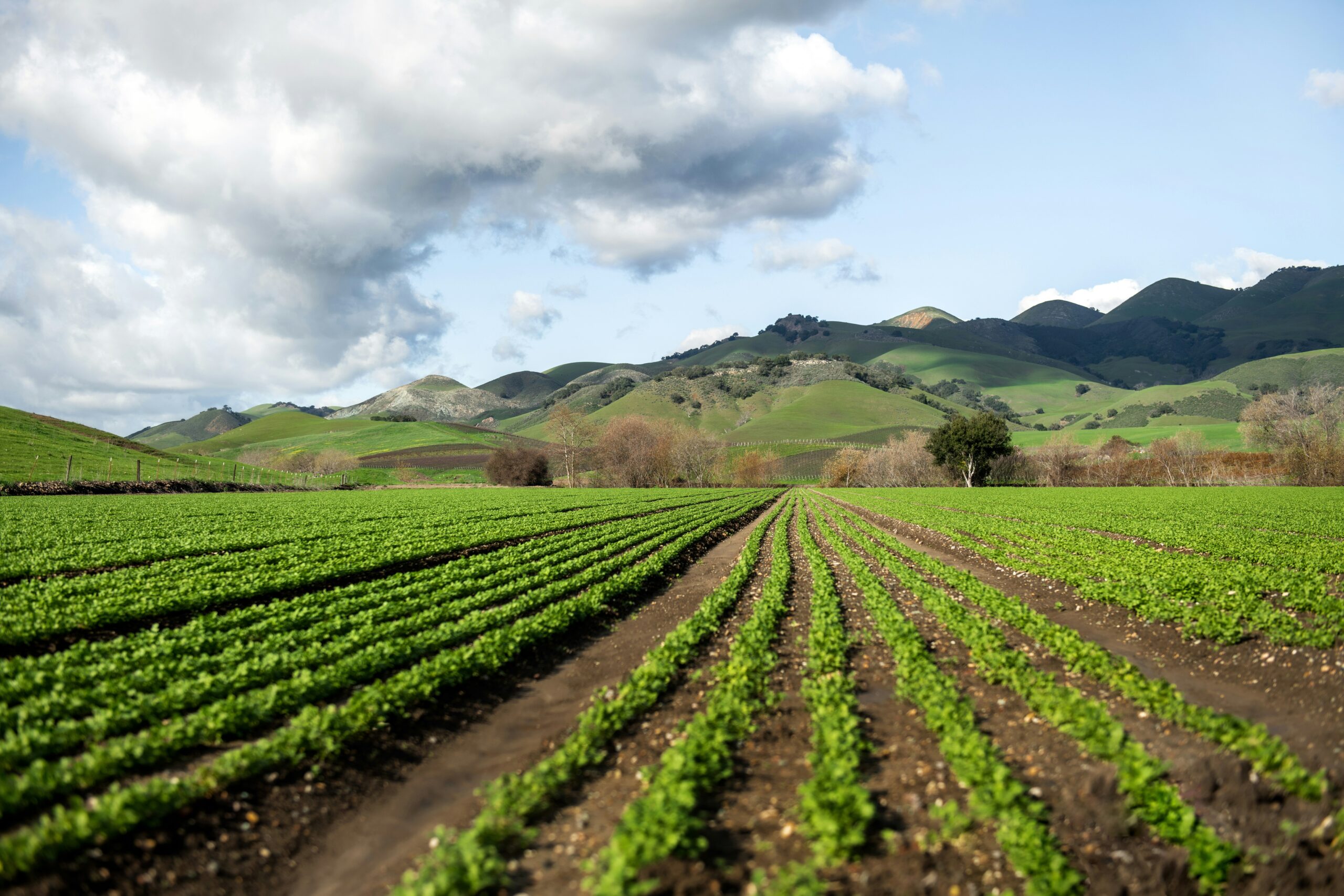 Steve Weymer- Agriculture