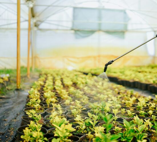 Steve Weymer-Irrigation Systems