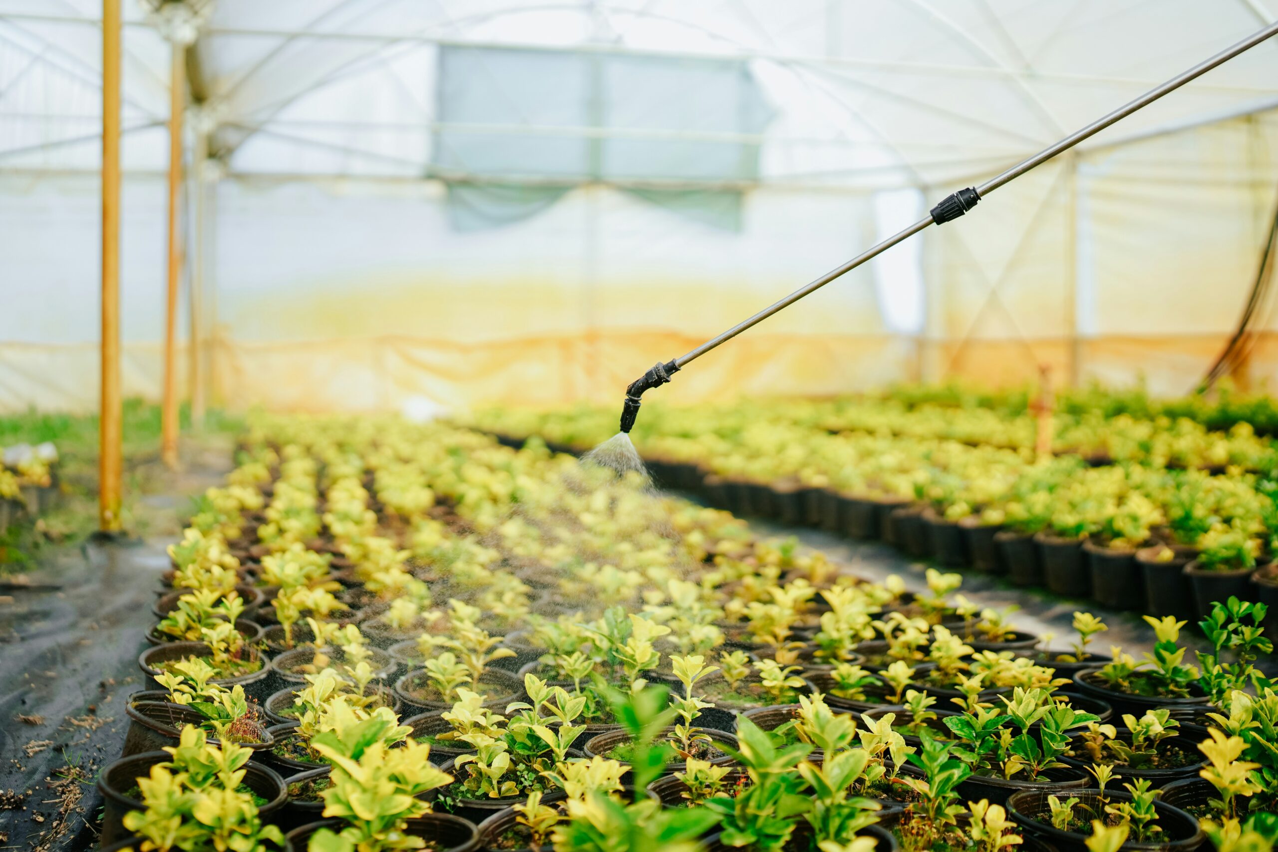Steve Weymer-Irrigation Systems