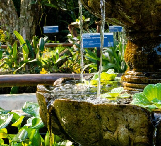 Water-Efficient Garden