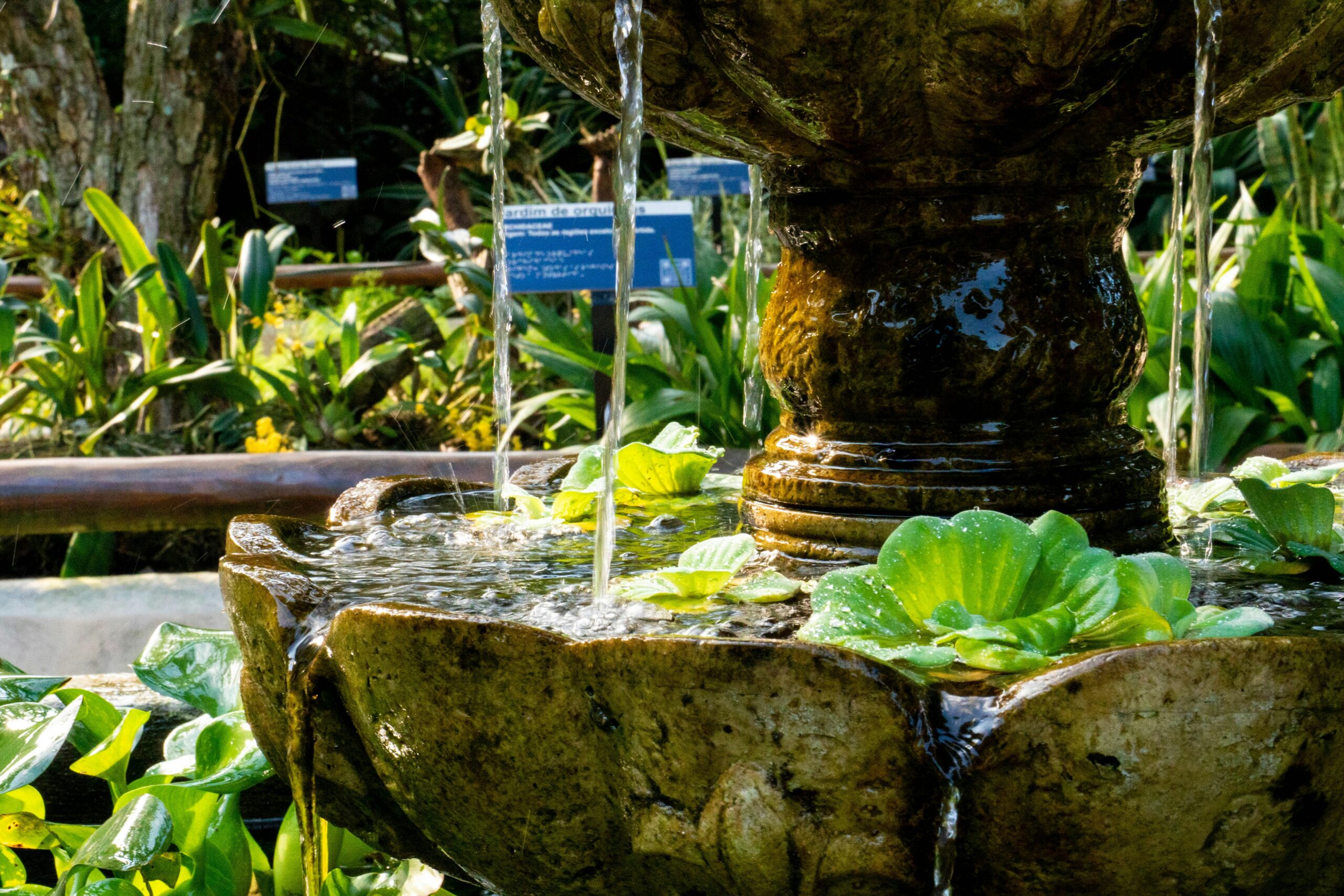 Water-Efficient Garden