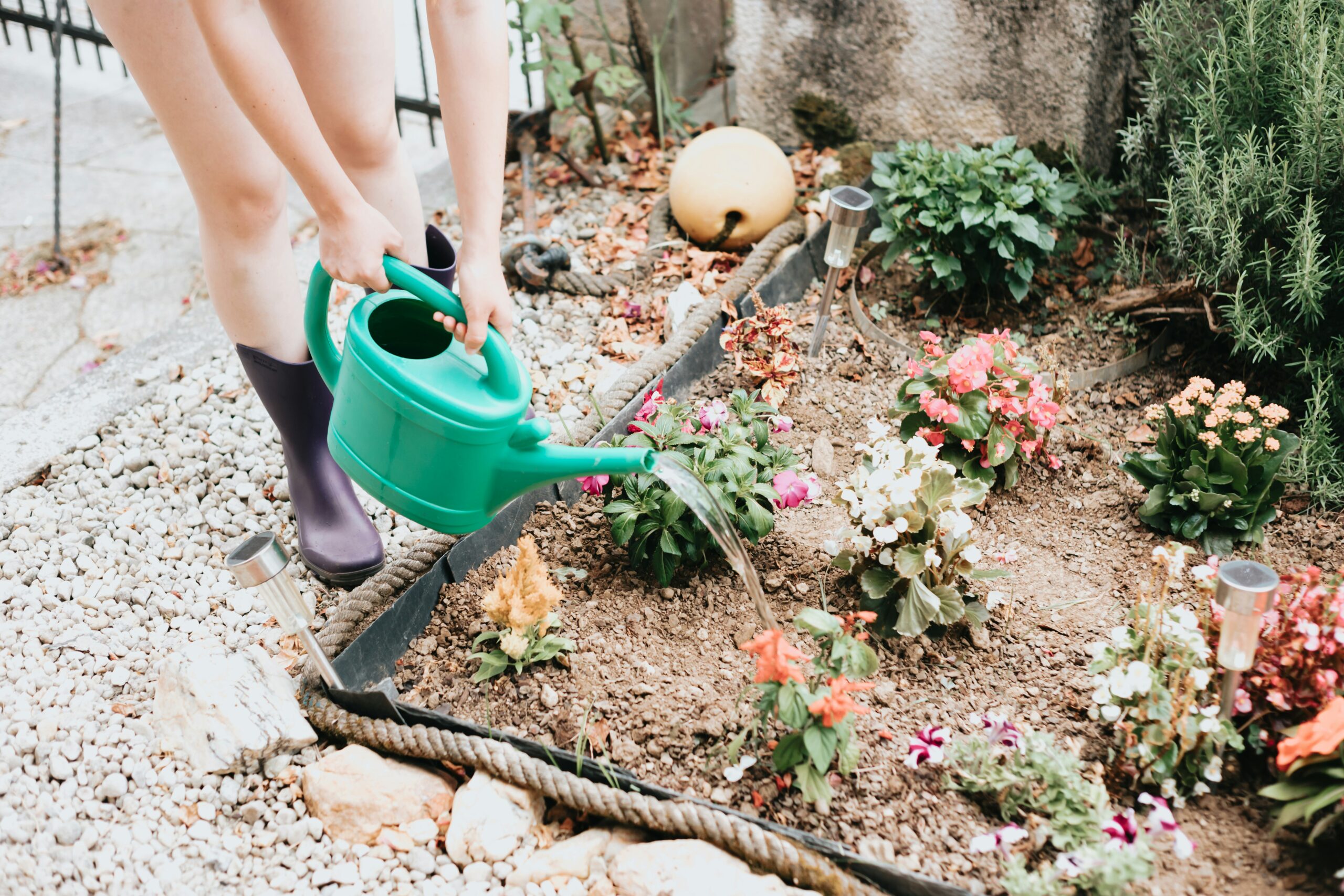 Water Efficient Gardening and Landscaping for a Greener, Smarter Yard