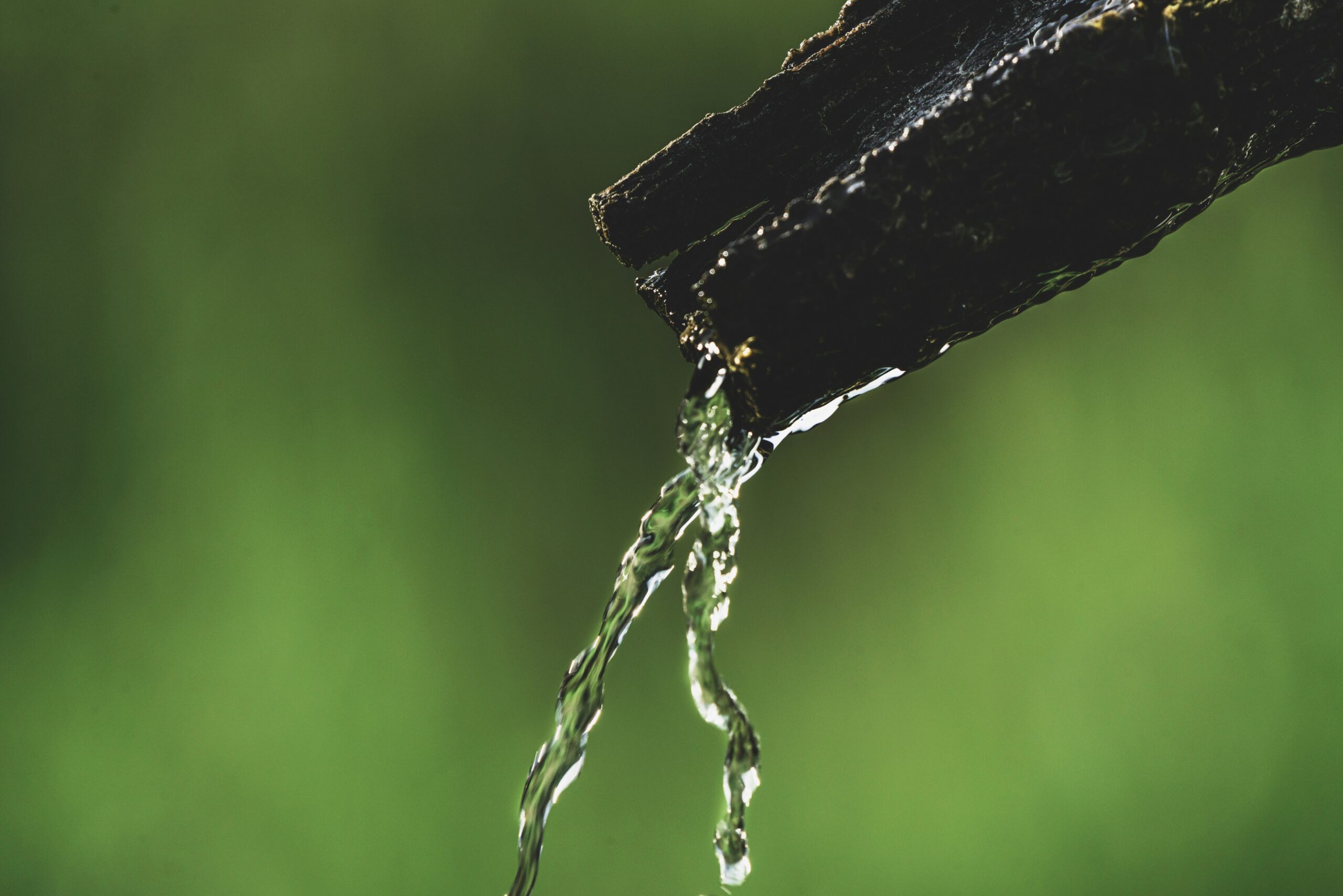 Rainwater Harvesting Systems